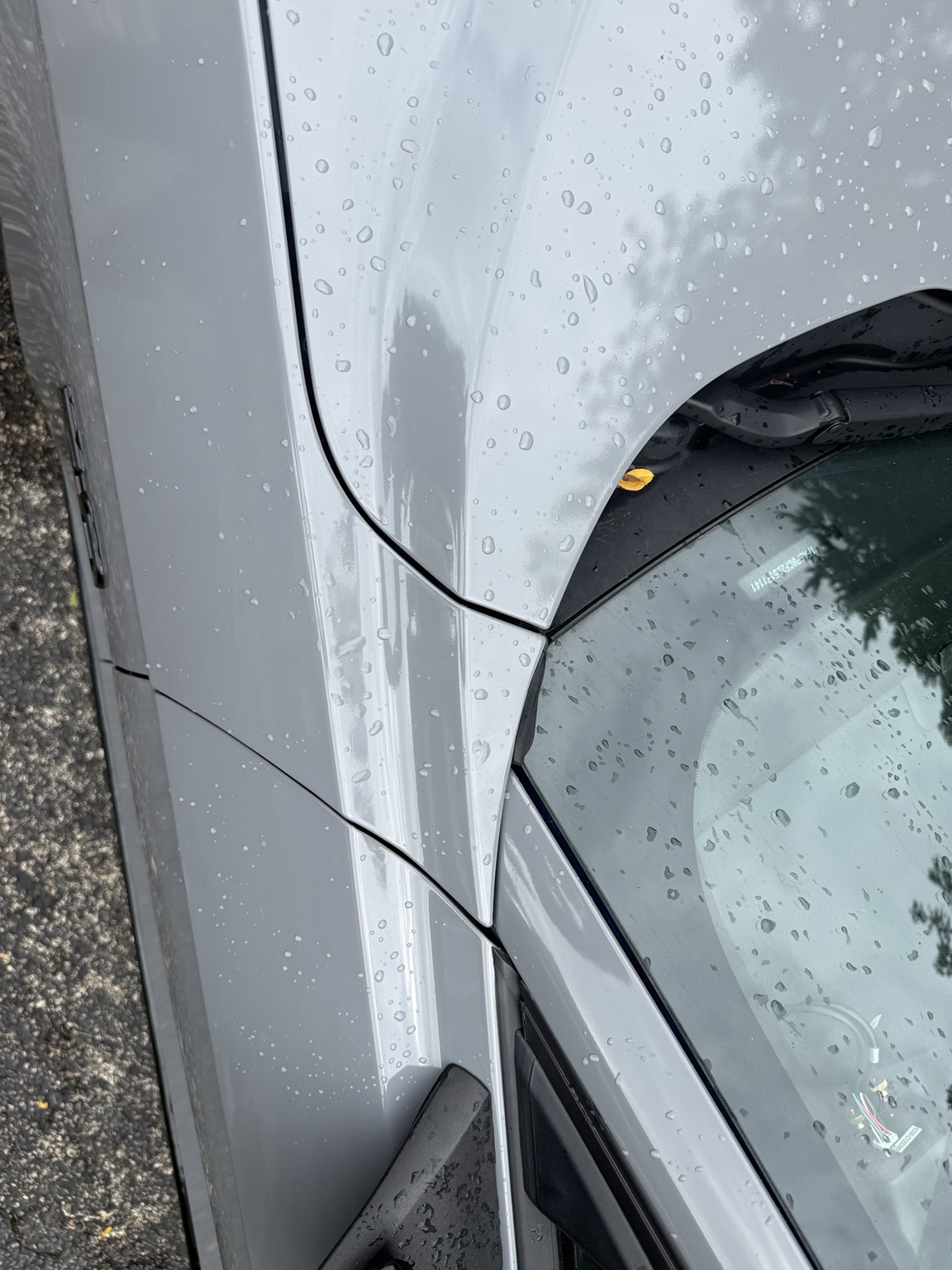 Close view of a Mustang body panel and window line